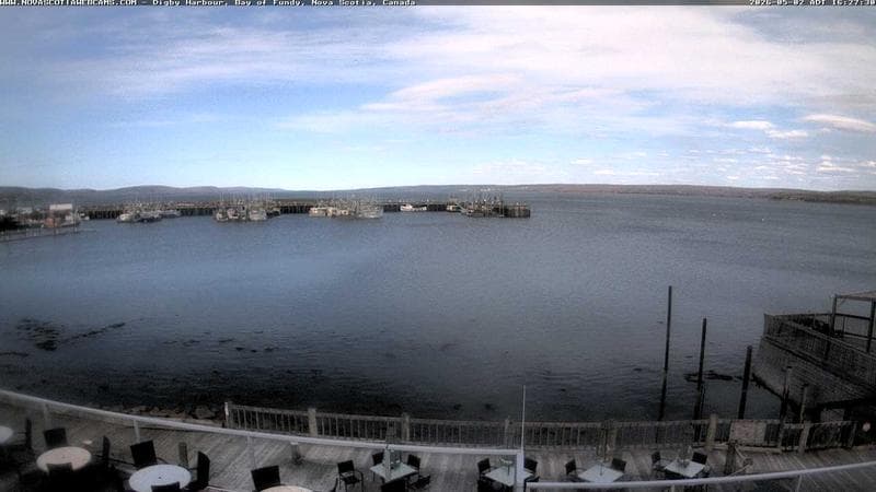 Digby Harbour