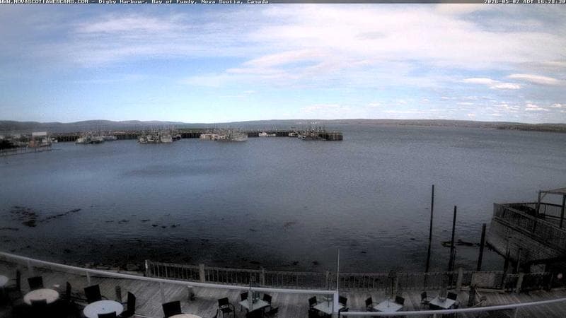 Digby Harbour