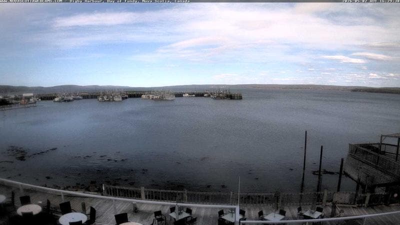 Digby Harbour