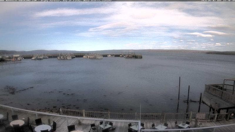 Digby Harbour