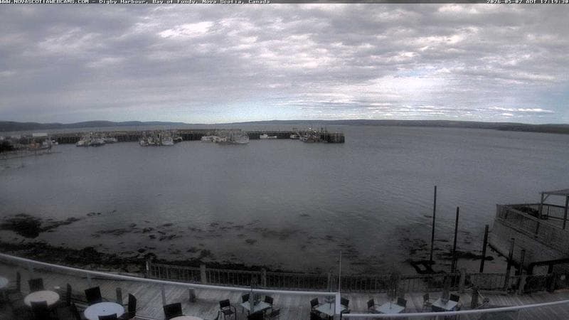 Digby Harbour