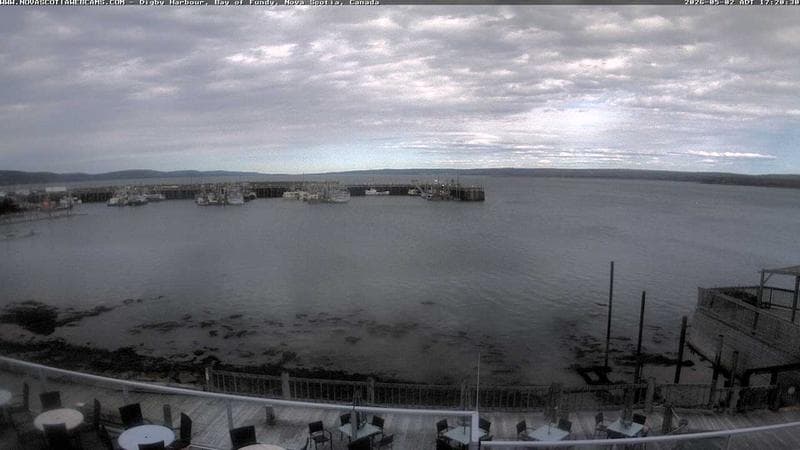 Digby Harbour
