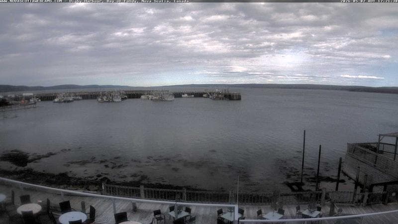 Digby Harbour