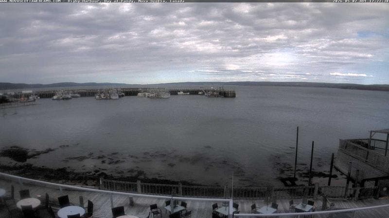 Digby Harbour