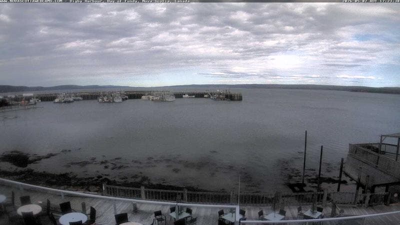 Digby Harbour