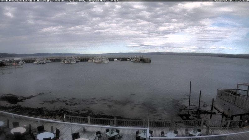 Digby Harbour