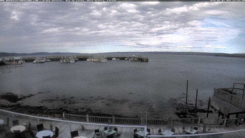 Digby Harbour