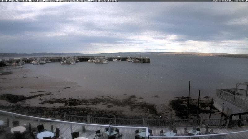 Digby Harbour