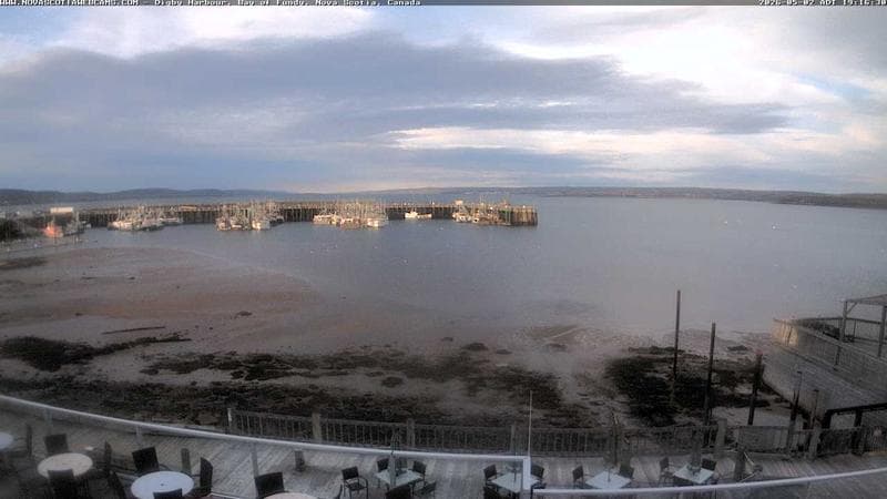 Digby Harbour