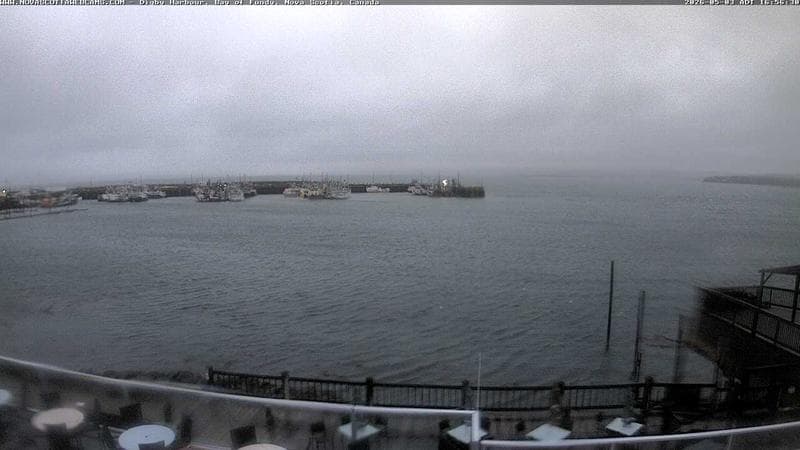 Digby Harbour