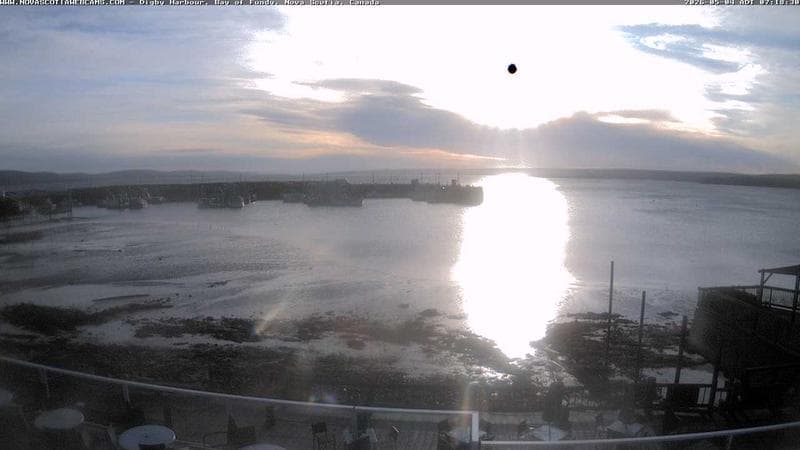 Digby Harbour
