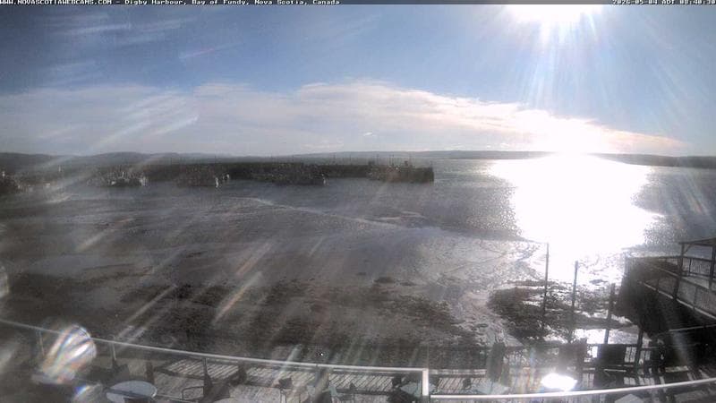 Digby Harbour