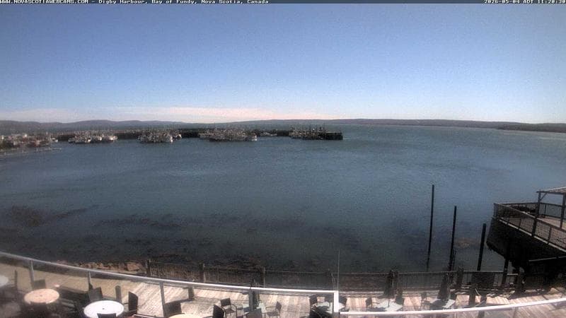 Digby Harbour