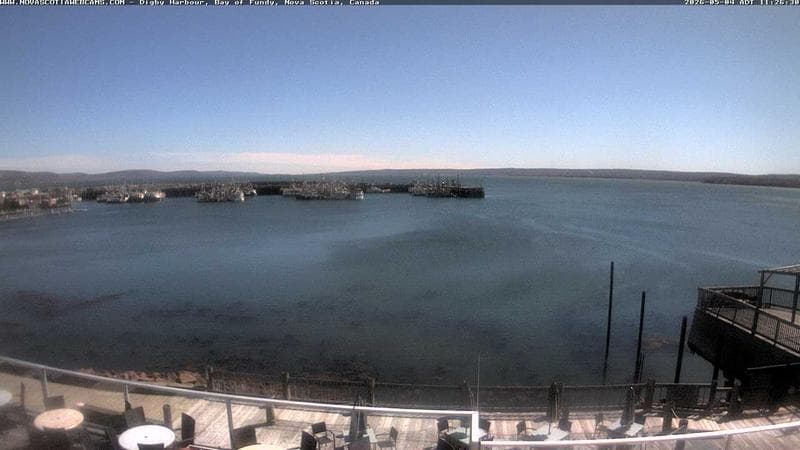 Digby Harbour