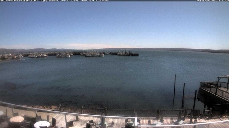 Digby Harbour