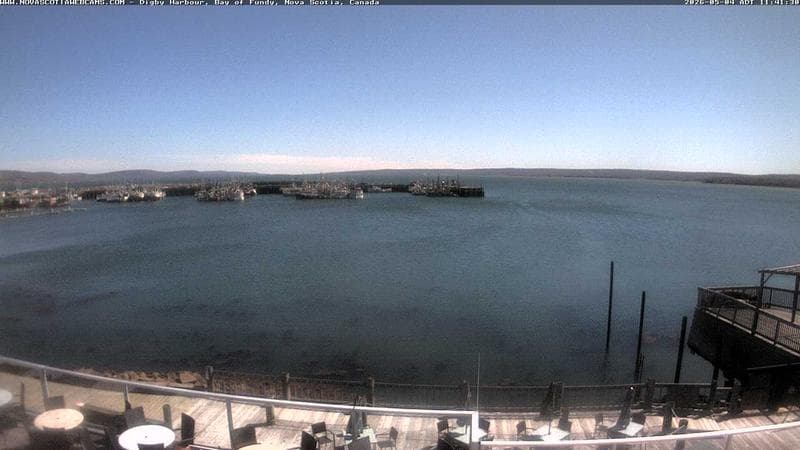 Digby Harbour