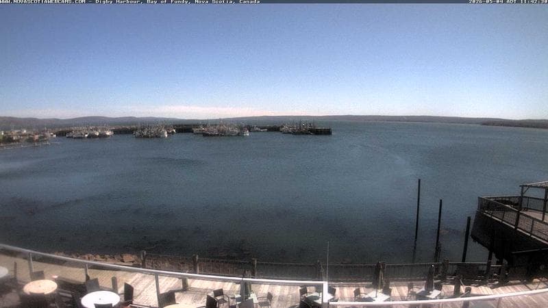 Digby Harbour