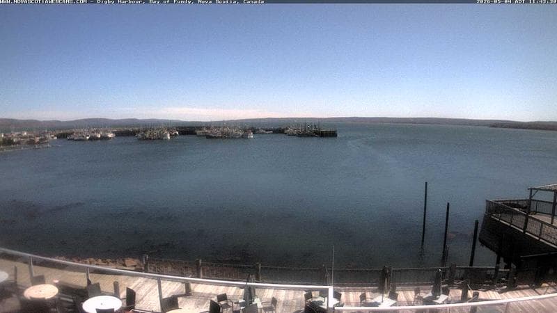 Digby Harbour