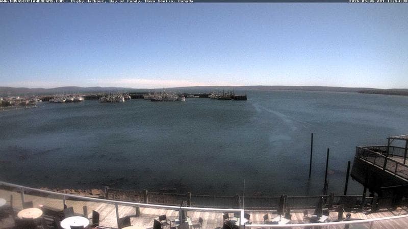 Digby Harbour