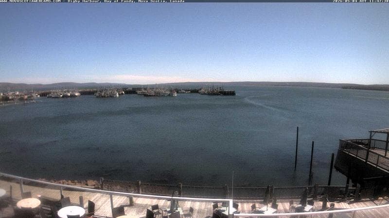Digby Harbour