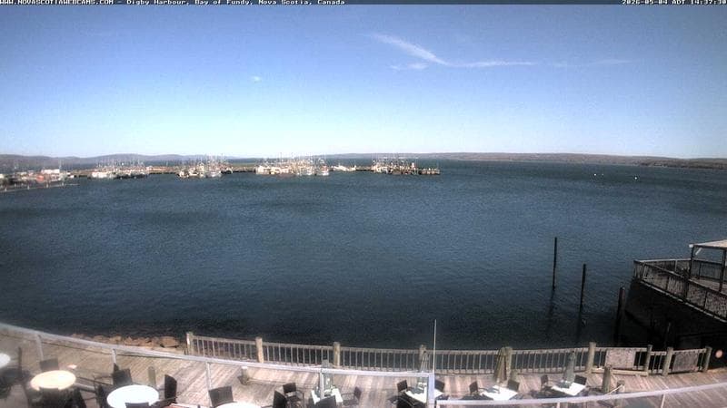 Digby Harbour