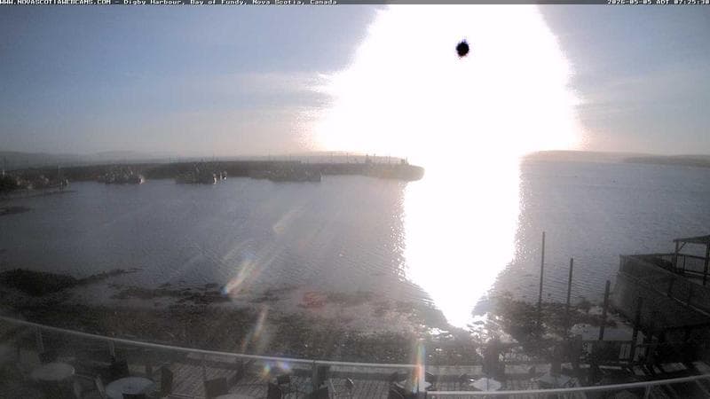 Digby Harbour