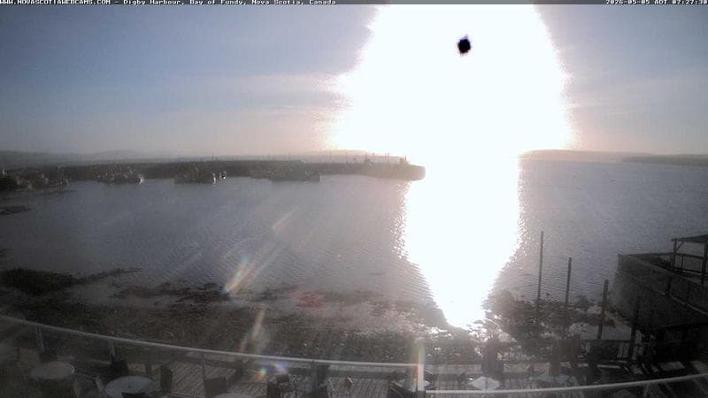 Digby Harbour