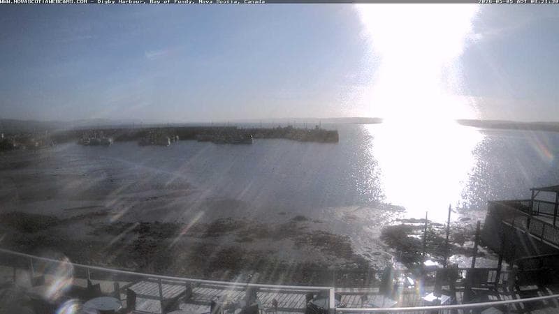 Digby Harbour