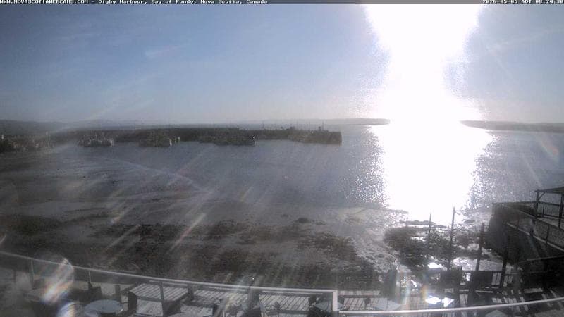 Digby Harbour