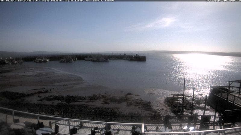 Digby Harbour