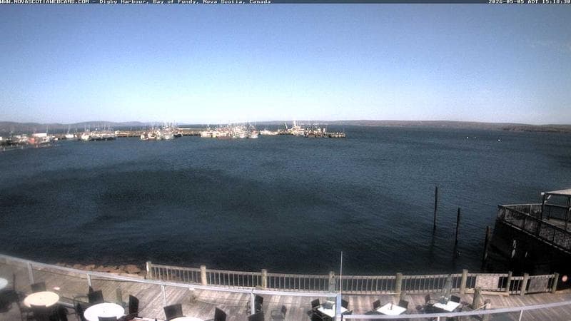 Digby Harbour