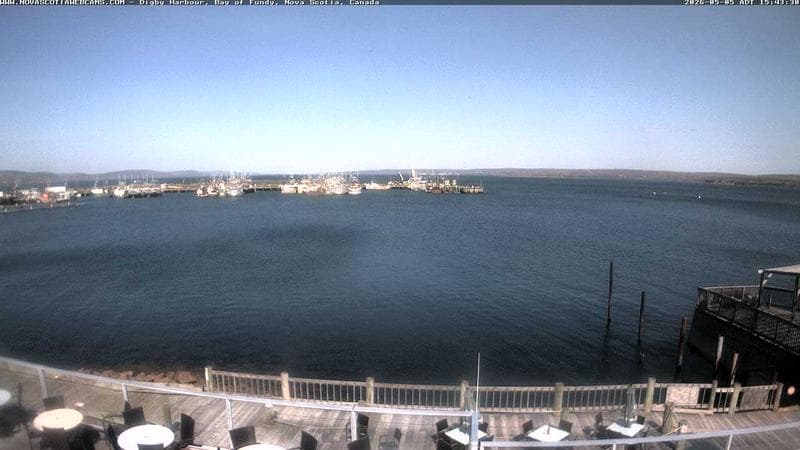 Digby Harbour
