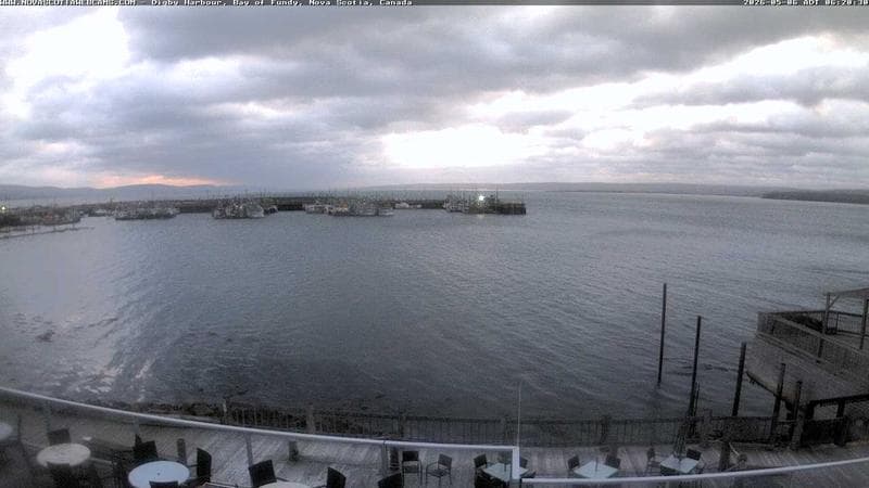 Digby Harbour