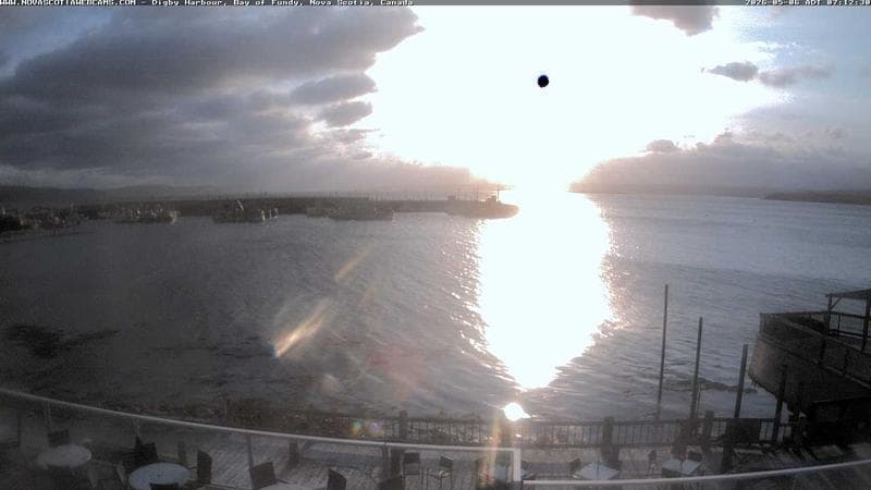 Digby Harbour