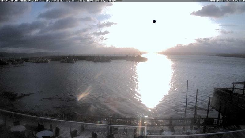 Digby Harbour