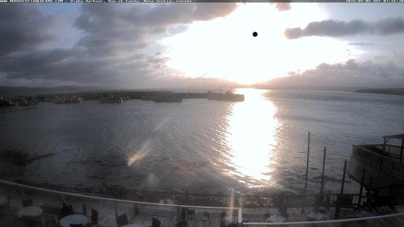 Digby Harbour