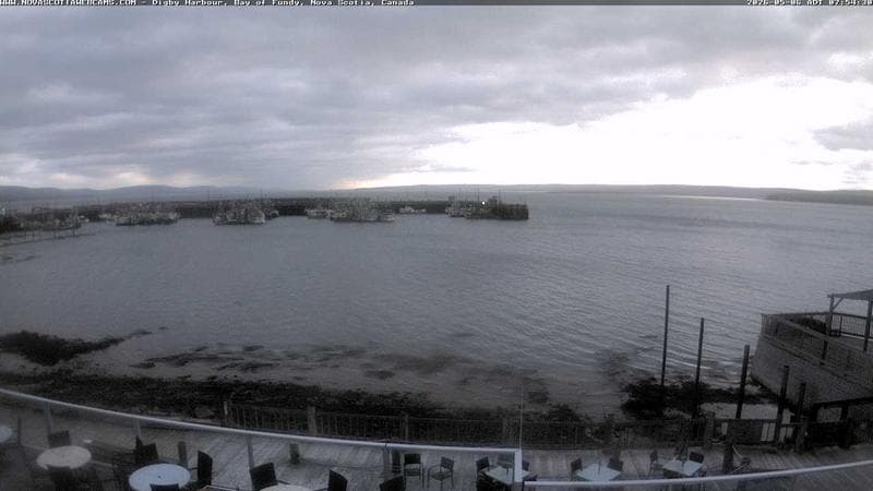 Digby Harbour