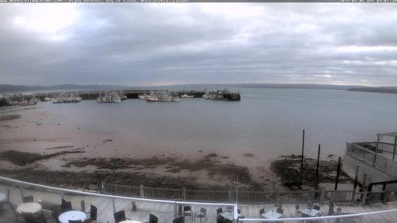 Digby Harbour