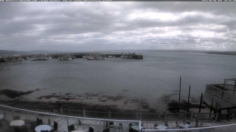 Digby Harbour