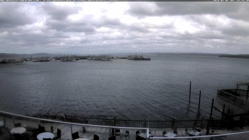 Digby Harbour