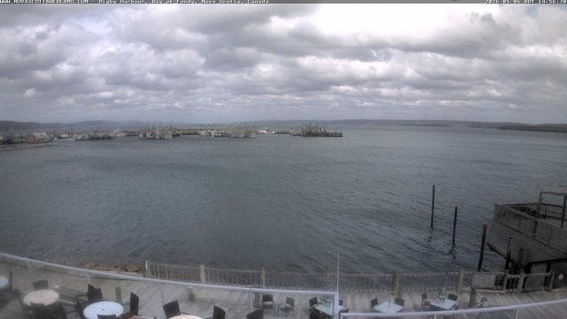 Digby Harbour