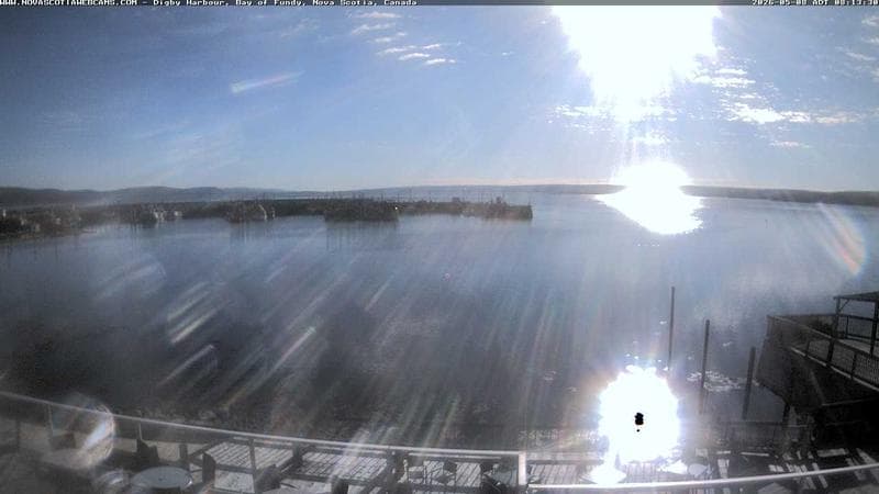 Digby Harbour