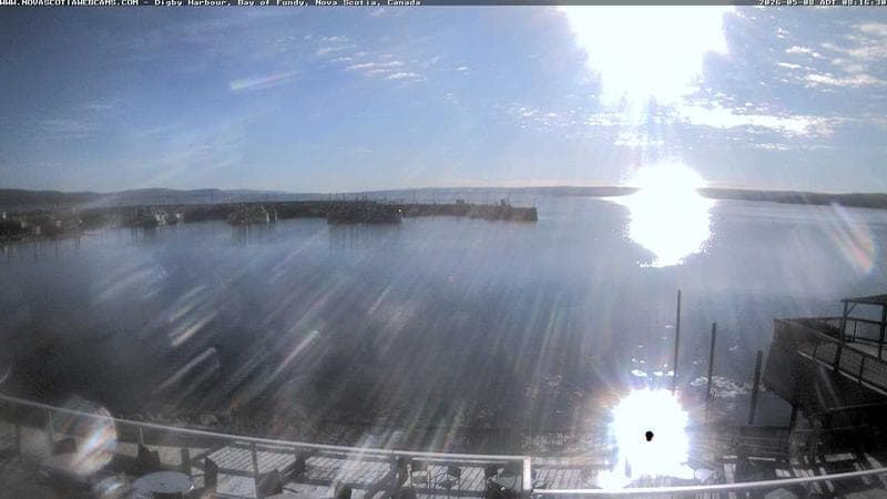 Digby Harbour