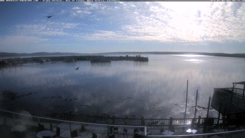 Digby Harbour