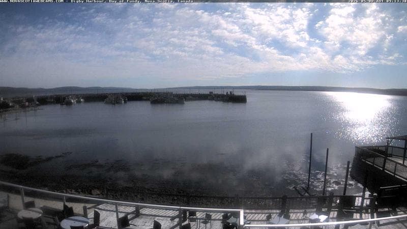 Digby Harbour