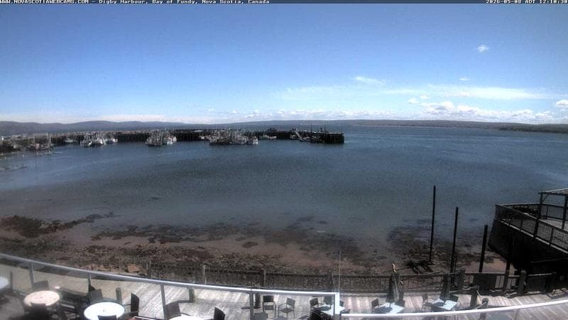 Digby Harbour