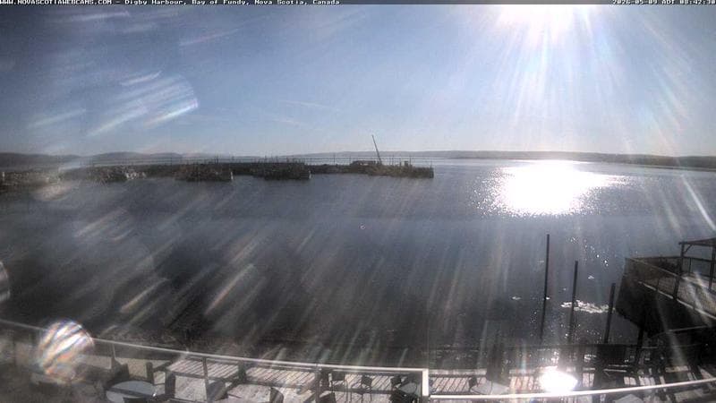 Digby Harbour