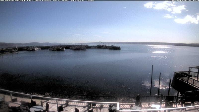 Digby Harbour