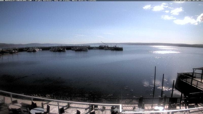 Digby Harbour