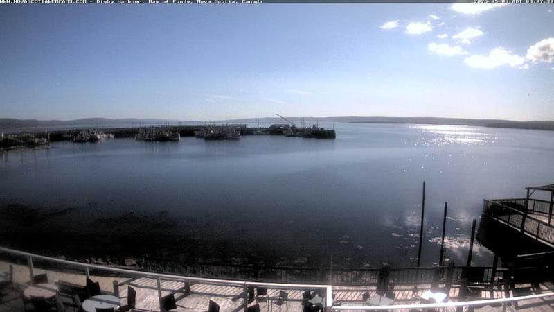 Digby Harbour